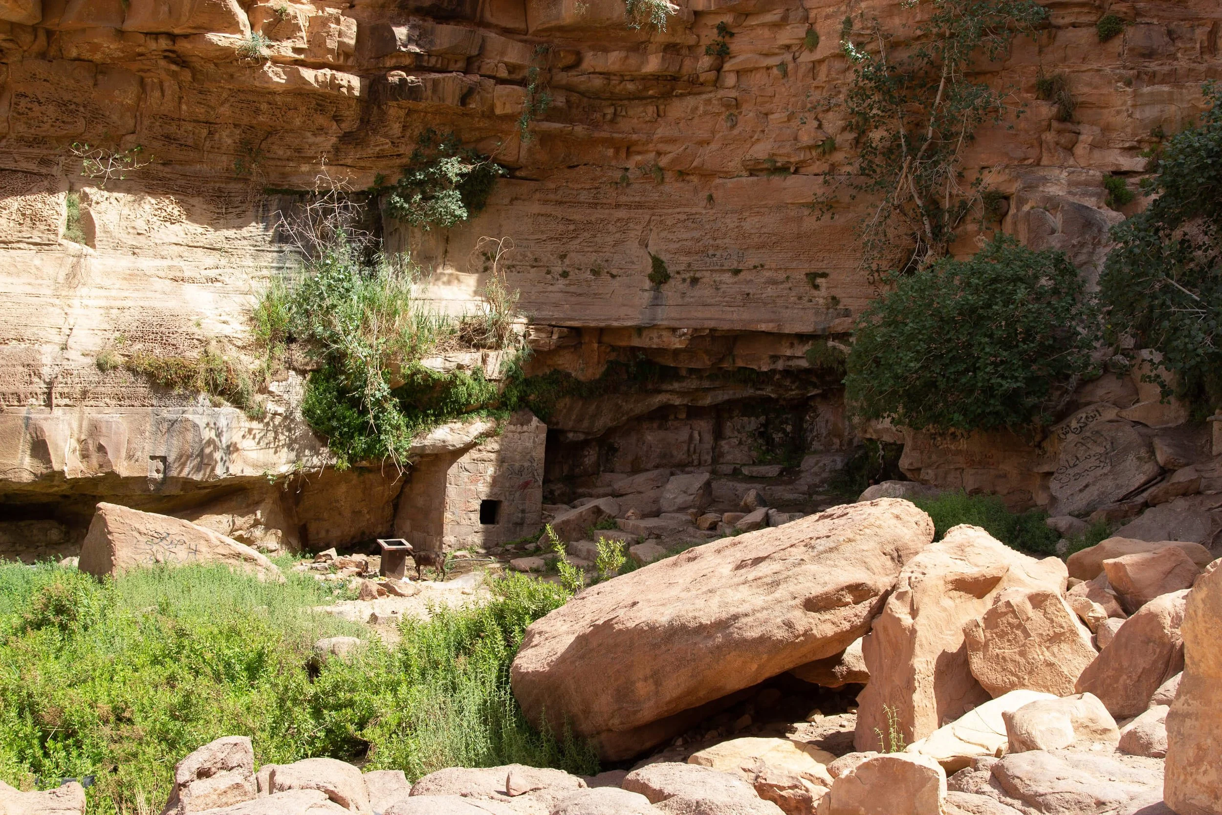 Lawrence Spring - Wadi Rum